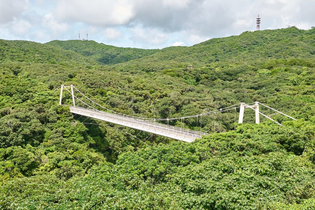 セイシカの橋